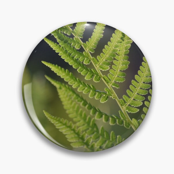 Item preview, Fern Photograph designed and sold by artbybri7.