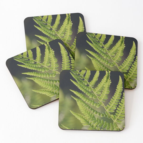 Item preview, Fern Photograph designed and sold by artbybri7.