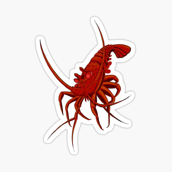 "spiny lobster" Sticker for Sale by dahoodscientist Redbubble
