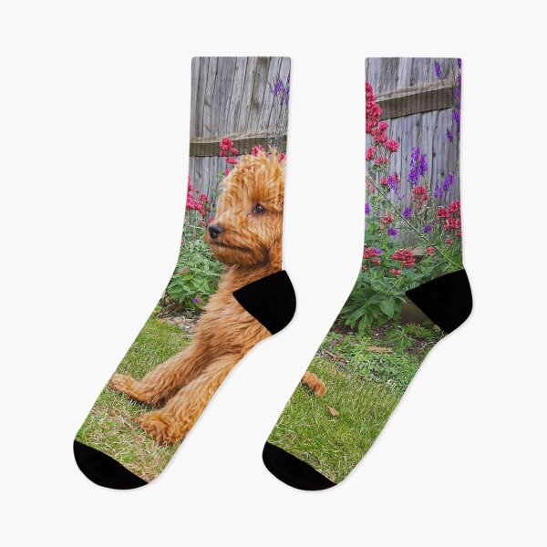 Item preview, Red Cockapoo Puppy designed and sold by Worldofcolour.