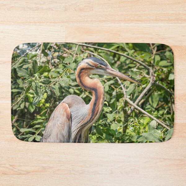 Item preview, Purple heron resting on a branch in the green foliage of a tree designed and sold by brambillasimone.