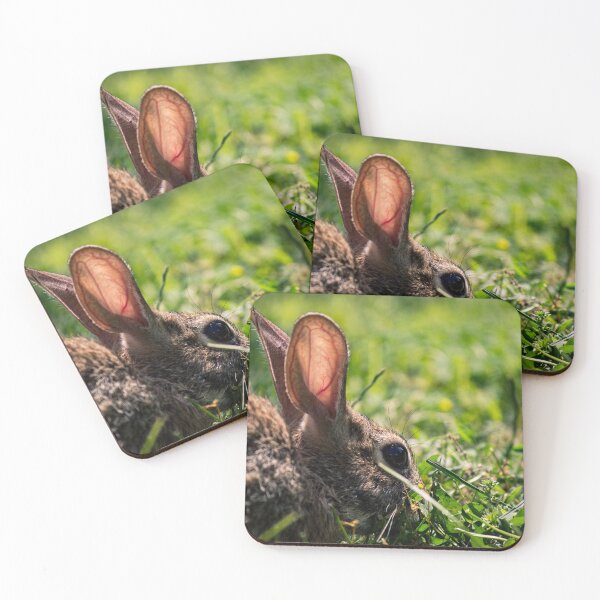 Item preview, Summer Bunny designed and sold by c-zphotos.