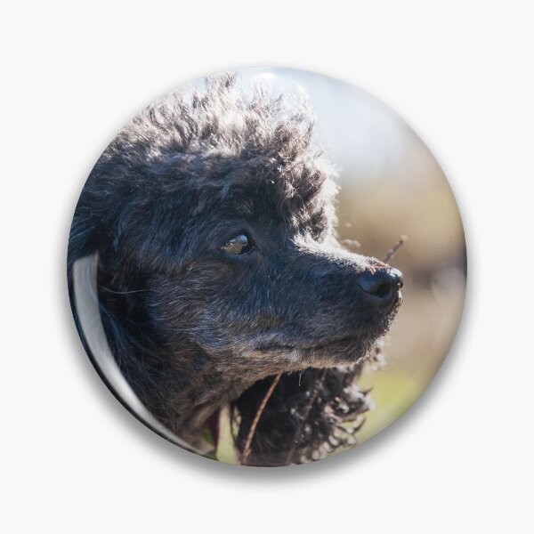 Item preview, Fluffy Dog designed and sold by KensLensDesigns.