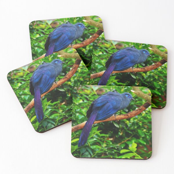 Item preview, CREATIVITYLOVE CLASSIC ARTISTIC BIRD PATTERNS designed and sold by VividThreadsDesignStudio.