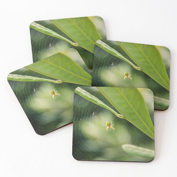 Item preview, Little Green Spider designed and sold by c-zphotos.