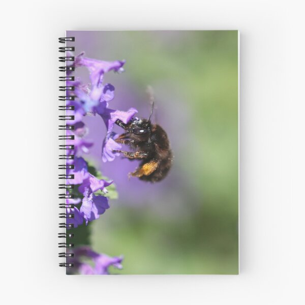 Item preview, Bee with orange pollen baskets designed and sold by GreyFeatherPhot.