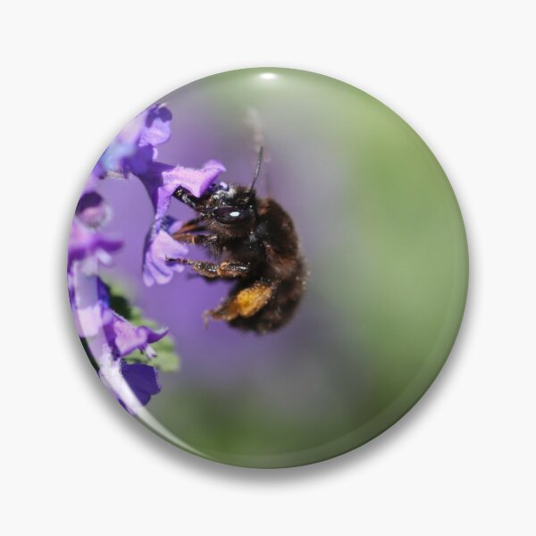 Item preview, Bee with orange pollen baskets designed and sold by GreyFeatherPhot.