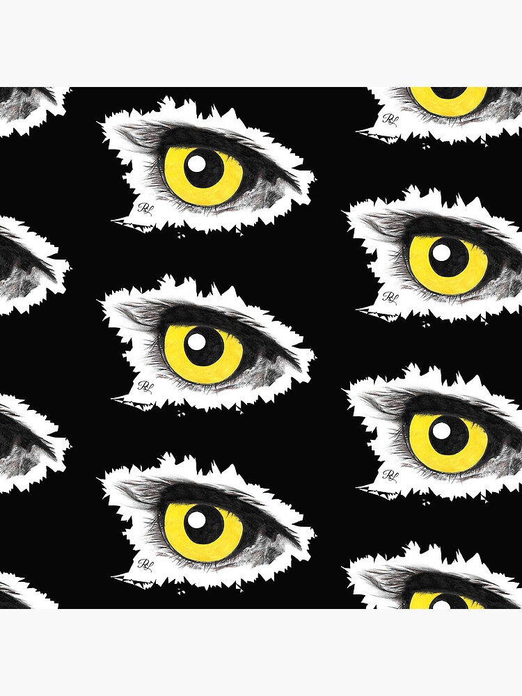 Birds Eye View by PTnL