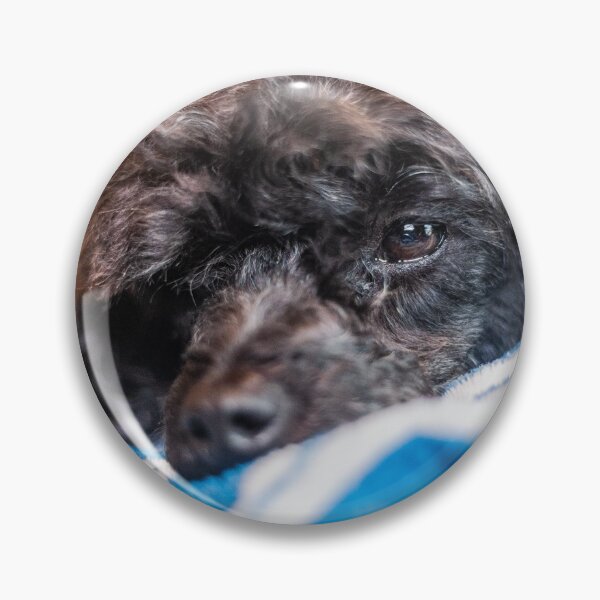 Item preview, Gentle Dog designed and sold by KensLensDesigns.