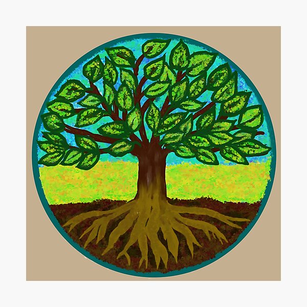 Tree of Life - Chi Correction Photographic Print
