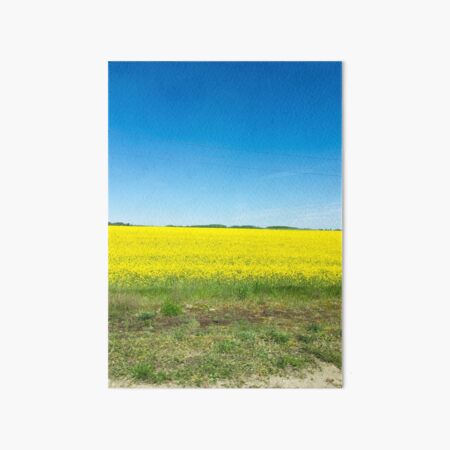 rapeseed field Art Board Print