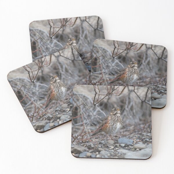 Item preview, REDWING BIRD DURING AUTUMN designed and sold by Eston Kamau.