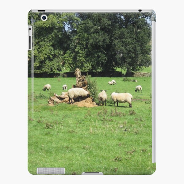 Merch #88 -- Sheep - Shot 4 (Hadrian's Wall) iPad Snap Case