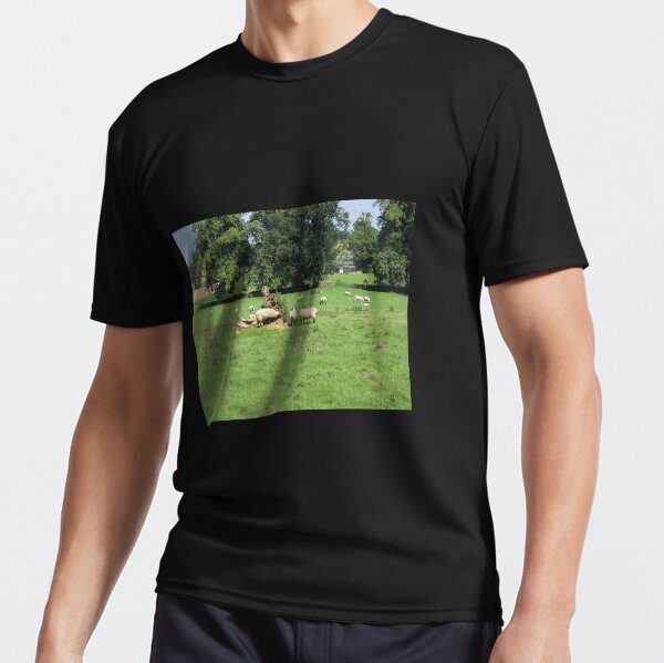 Merch #88 -- Sheep - Shot 4 (Hadrian's Wall) Active T-Shirt