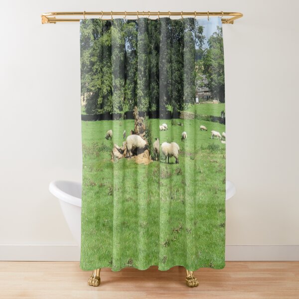 Merch #88 -- Sheep - Shot 4 (Hadrian's Wall) Shower Curtain