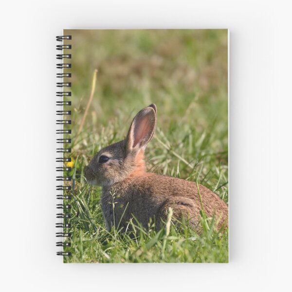 Item preview, Rabbit designed and sold by rwhooster.