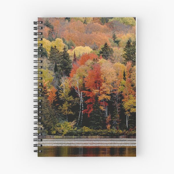 Item preview, AUTUMN COLORS designed and sold by Eston Kamau.