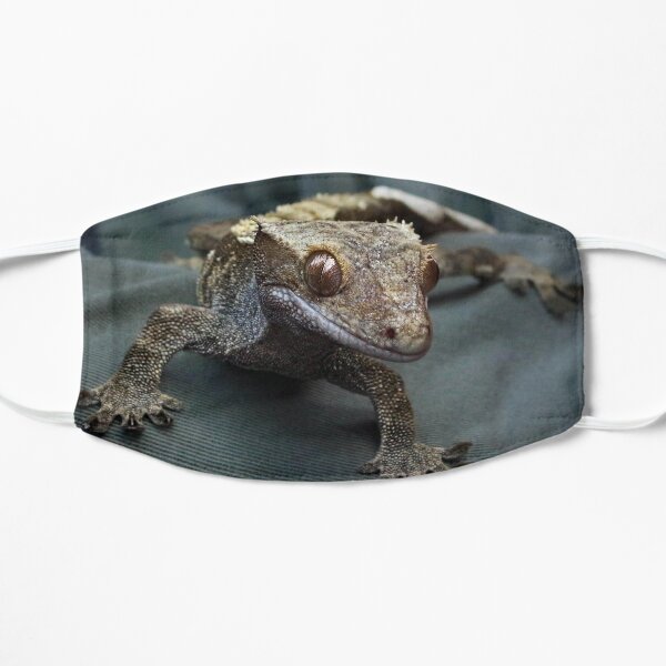 Crested gecko Flat Mask
