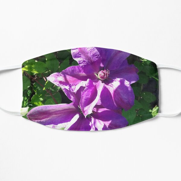 Purple clematis photograph Flat Mask