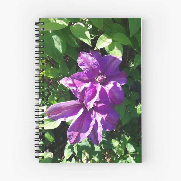 Item preview, Purple clematis photograph designed and sold by esvb.