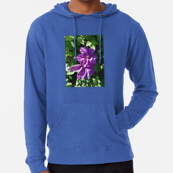 Purple clematis photograph Lightweight Hoodie
