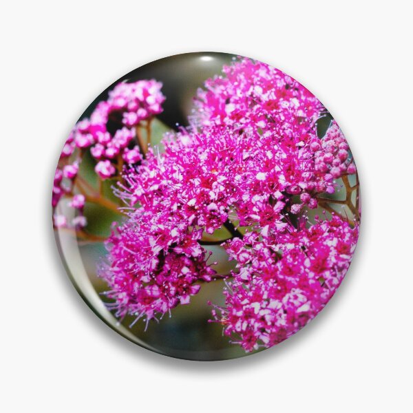 Item preview, Spiraea Japonica Flower  designed and sold by mcshirtface.