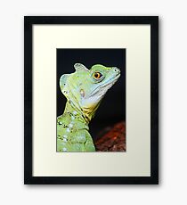 Green Lizard Framed Print