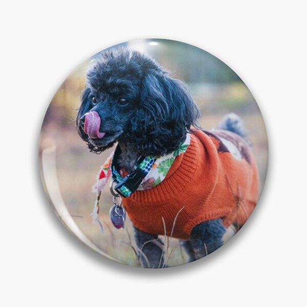 Item preview, Toy poodle in a Suburb Jungle designed and sold by KensLensDesigns.