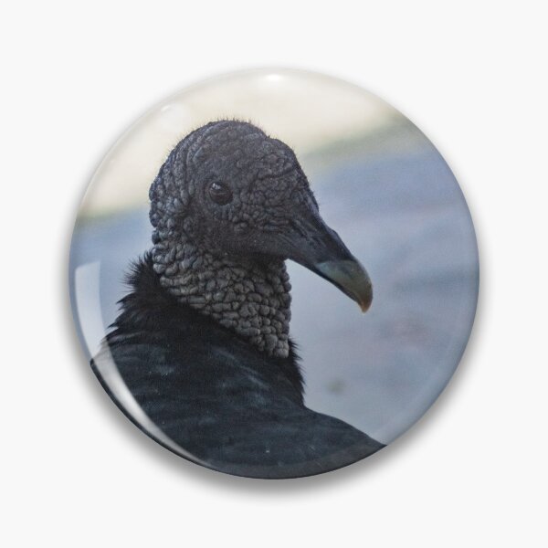 Item preview, Eloquent  Turkey Vulture designed and sold by KensLensDesigns.