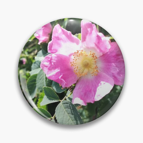 Item preview, Pink wild rose photograph designed and sold by esvb.