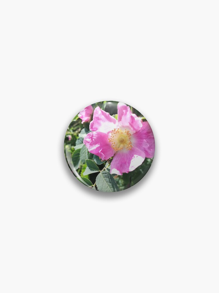 Thumbnail 1 von 3, Button, Rosa wilde Rosenfoto designt und verkauft von esvb.
