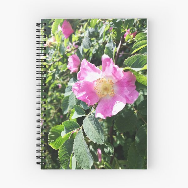 Item preview, Pink wild rose photograph designed and sold by esvb.