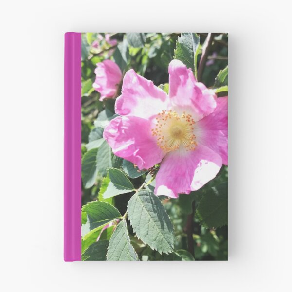 Item preview, Pink wild rose photograph designed and sold by esvb.