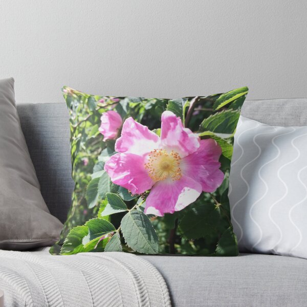 Item preview, Pink wild rose photograph designed and sold by esvb.