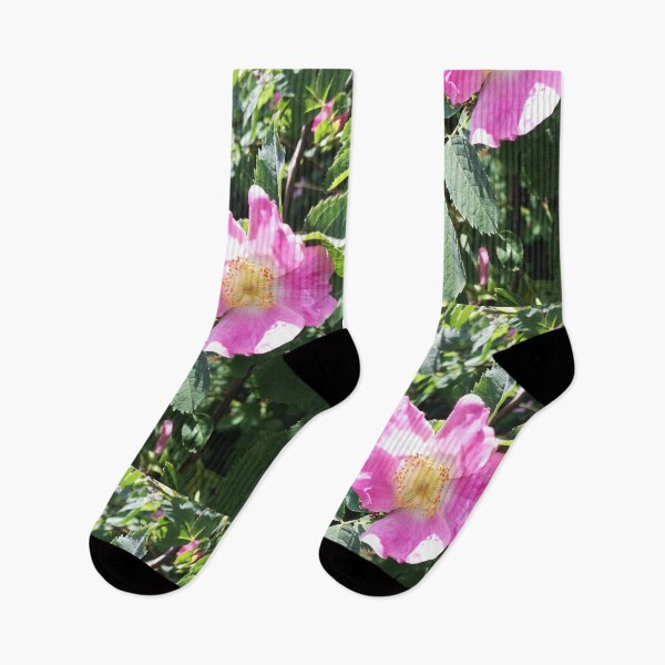 Item preview, Pink wild rose photograph designed and sold by esvb.