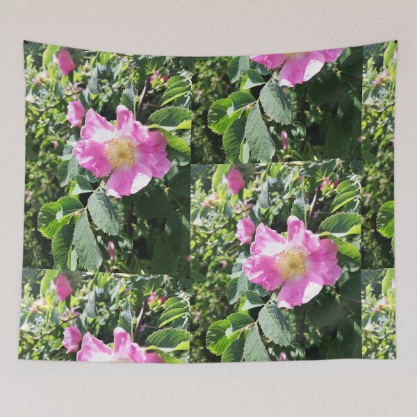 Item preview, Pink wild rose photograph designed and sold by esvb.