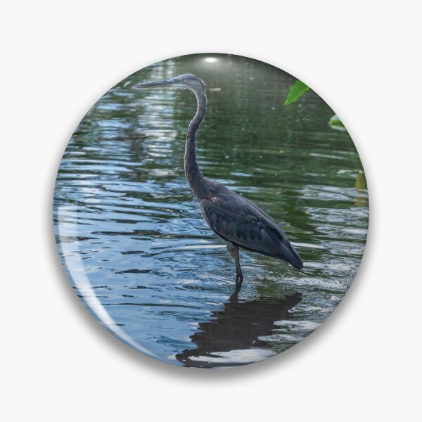 Item preview, Great Blue Heron 3 designed and sold by KensLensDesigns.
