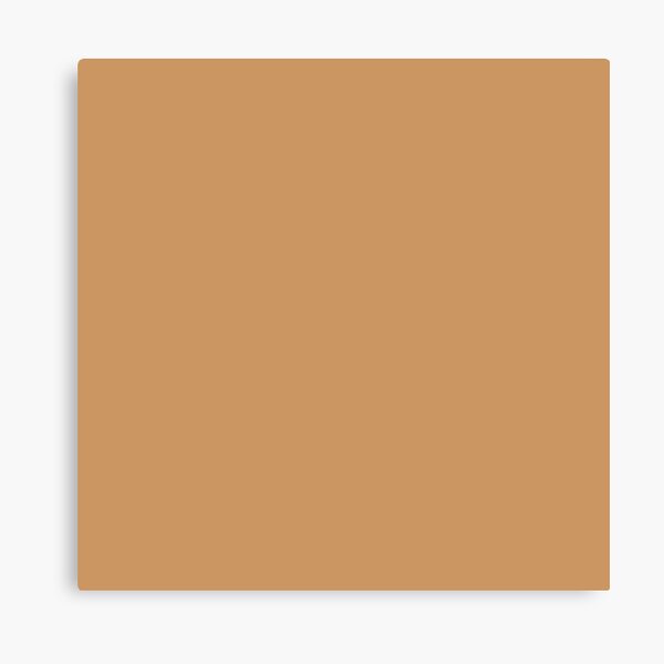 honey skin tone Canvas Print
