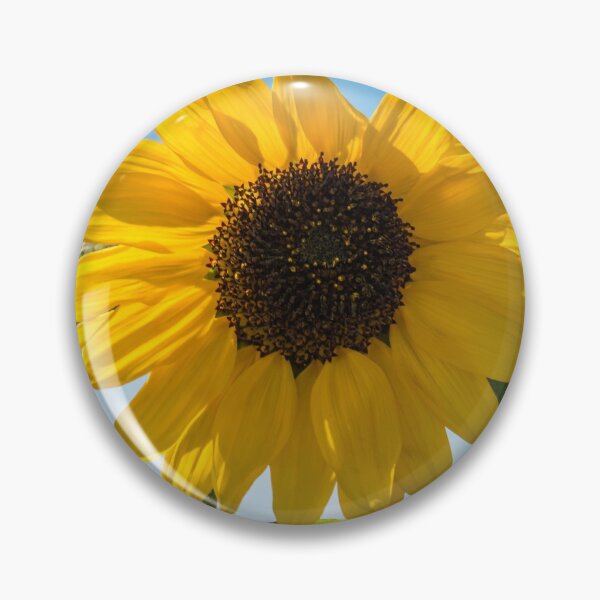 Item preview, Sunflower field. Sunflower with blue sky and the sea in backgorund. Summer background, bright yellow sunflower over blue sky. Landscape with sunflower field over cloudy blue sky. designed and sold by AnaMOMarques.