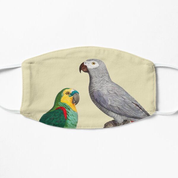African grey parrot and Blue-fronted amazon Flat Mask