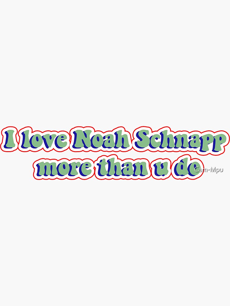"I love Noah Schnapp more than u do quote" Sticker for Sale by CamMpu Redbubble