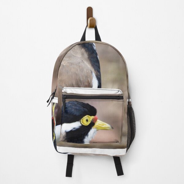 Item preview, Banded Lapwing designed and sold by Steve Sass.
