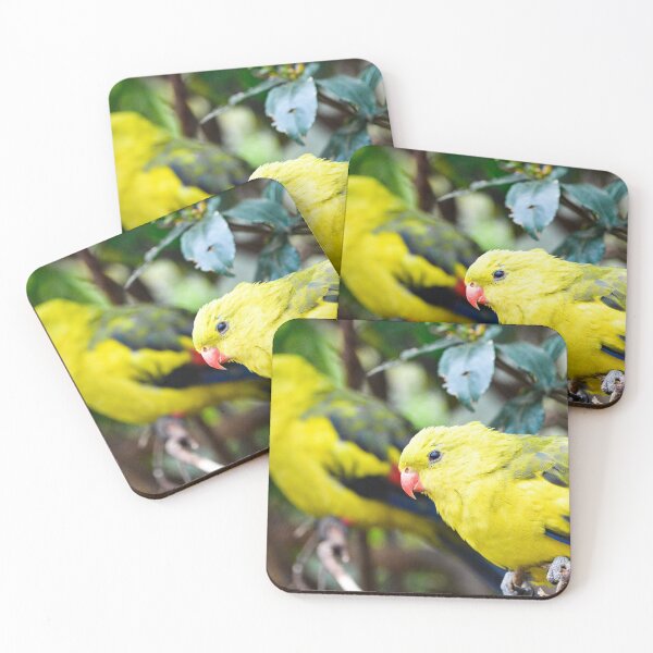 Item preview, Regent Parrots designed and sold by Steve Sass.