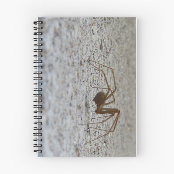 Item preview, Arachnid designed and sold by WanderingBark.