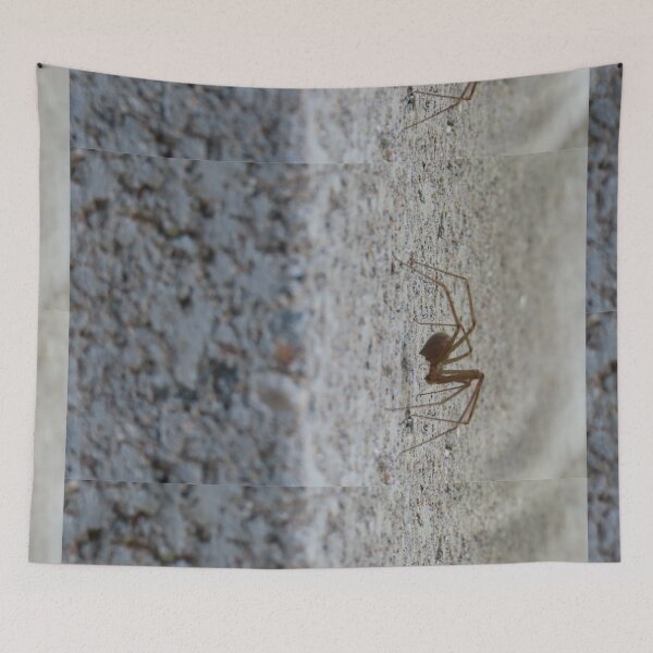 Item preview, Arachnid designed and sold by WanderingBark.