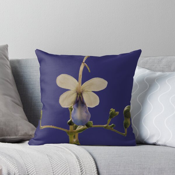 Item preview, Tripora divaricata. designed and sold by 57victor.