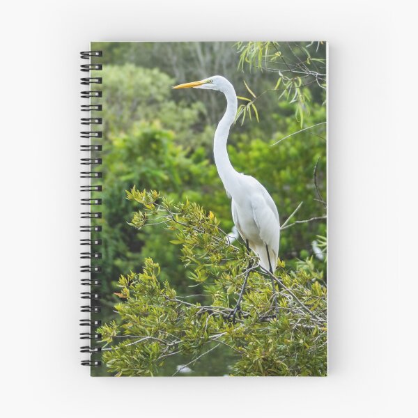 Item preview, The Kings Great Egret of  Gatorland designed and sold by KensLensDesigns.