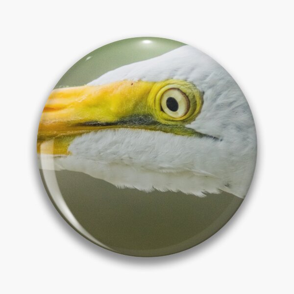 Item preview, Up close with the Great Egret designed and sold by KensLensDesigns.