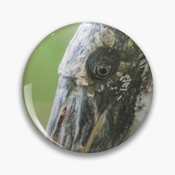 Item preview, Up close with Wood stork designed and sold by KensLensDesigns.
