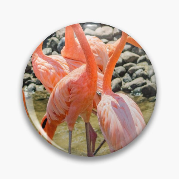 Item preview, A gaggle of Flamingos designed and sold by KensLensDesigns.